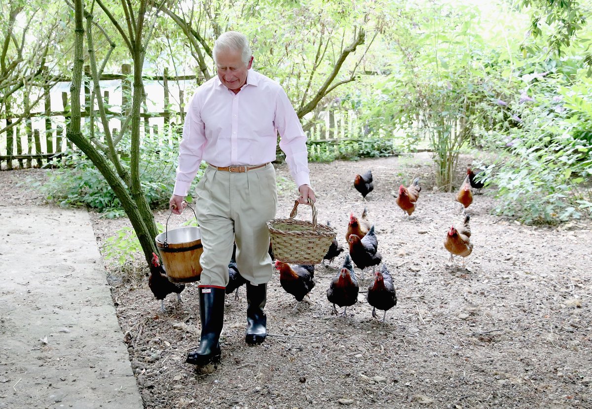 Highgrove Uproar: 11 Gardeners Quit Over Low Pay