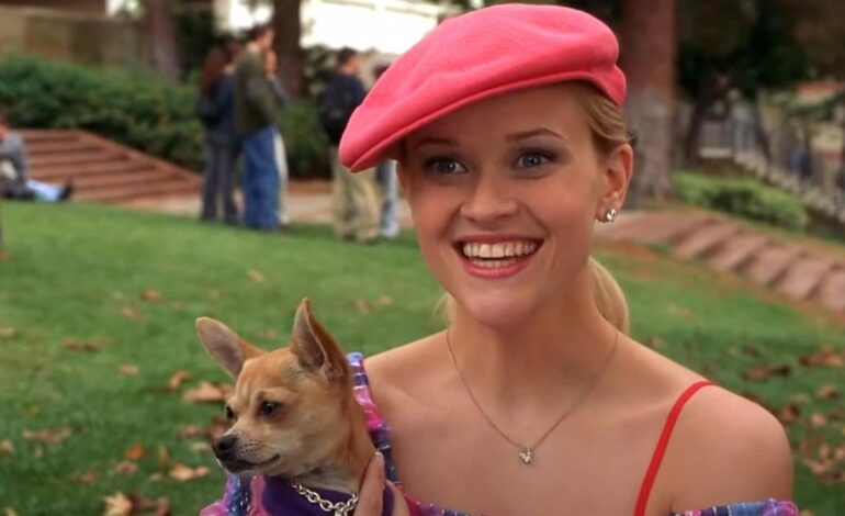 Legally Blonde’s Campus-to-Prequel Journey Revealed