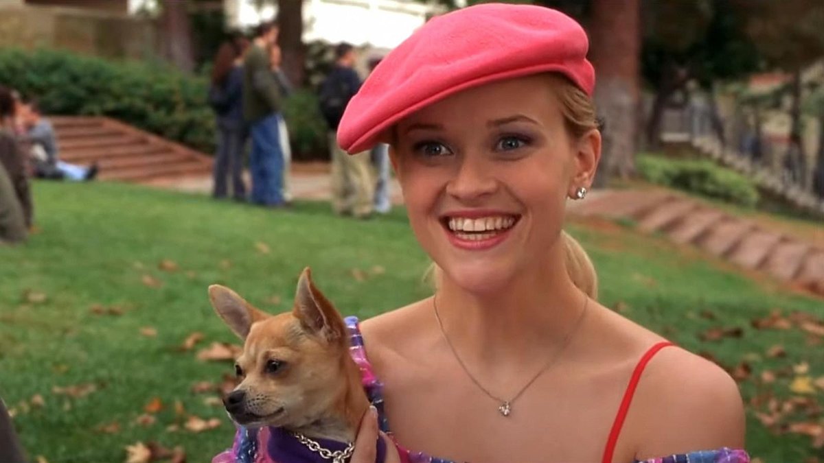 Legally Blonde’s Campus-to-Prequel Journey Revealed