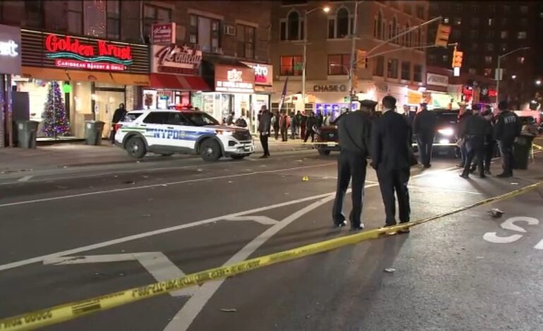 Midtown Manhattan Rampage: Active Shooter Kills Five Before Suicide