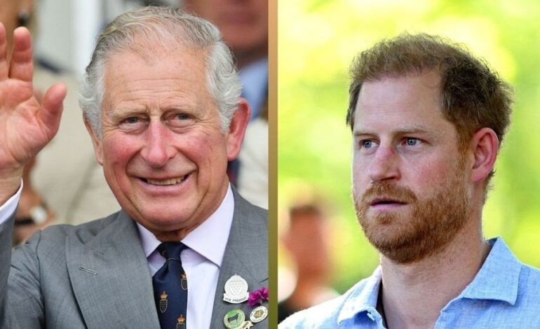 Prince Harry’s Transparent Peace Bid: Will the Royals Bite?