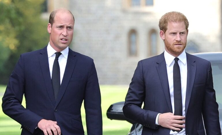 Prince William and Harry’s Cousin, 20, Found Dead with Firearm Nearby