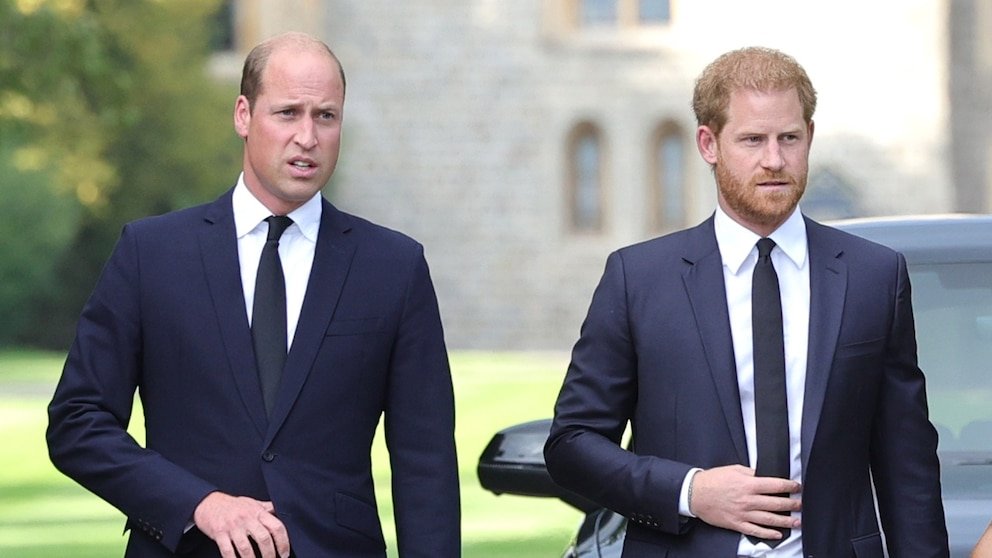 Prince William and Harry’s Cousin, 20, Found Dead with Firearm Nearby
