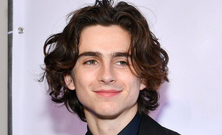 Timothée Chalamet’s Sudden Buzz Cut Sparks Style Frenzy