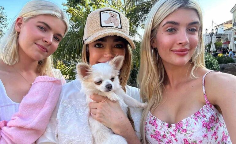 Denise Richards Breaks Restraining Order to Retrieve Dog in Calabasas Showdown