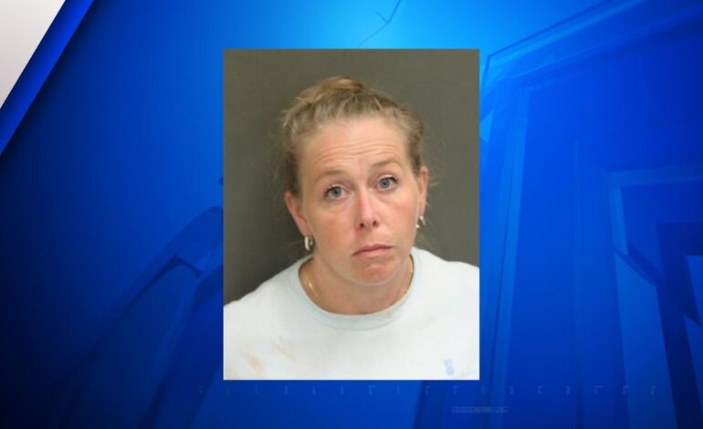 Disney World Gate Meth Bust: Kentucky Woman Arrested