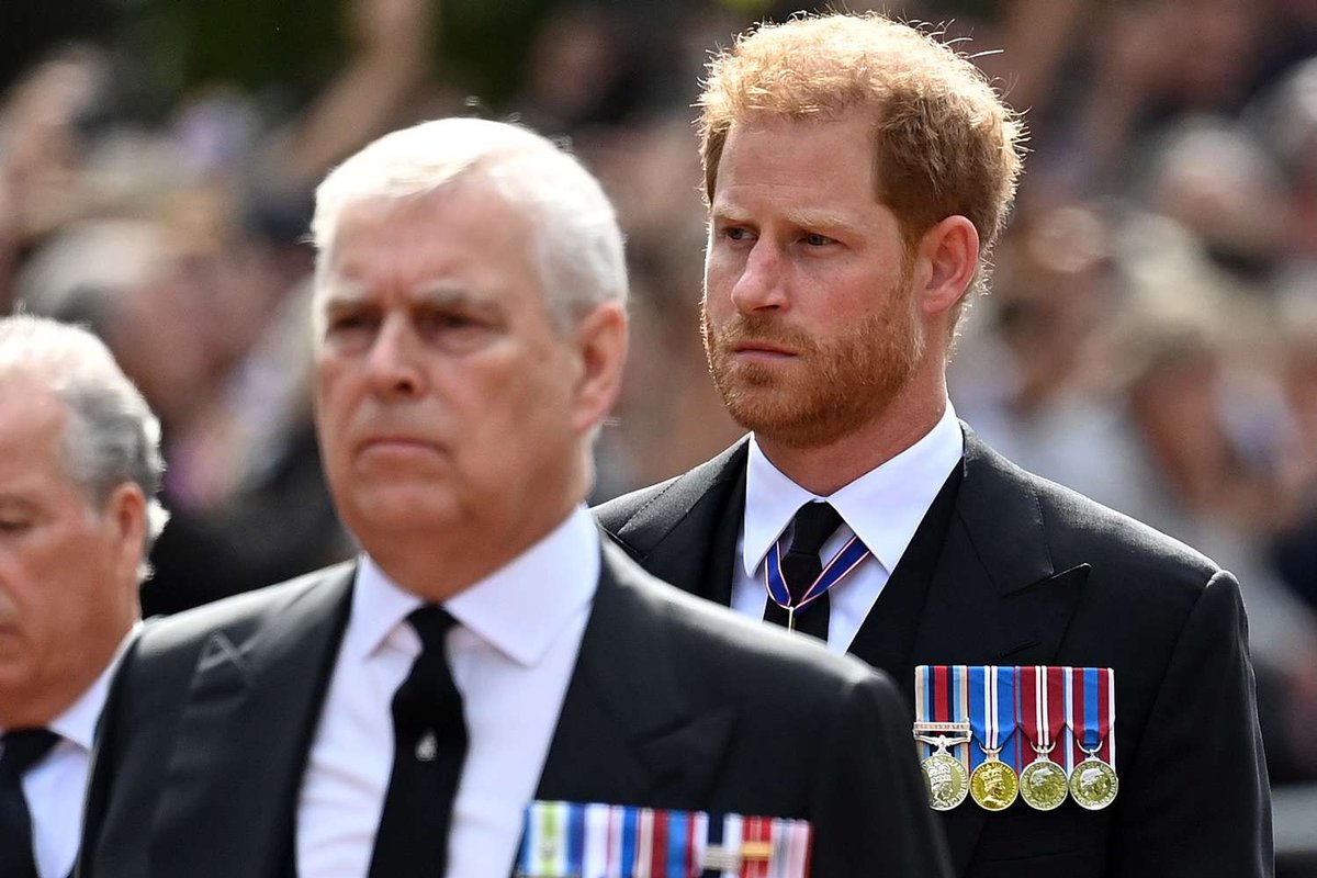 Prince Harry Pushes Back on Punch Allegations Against Prince Andrew
