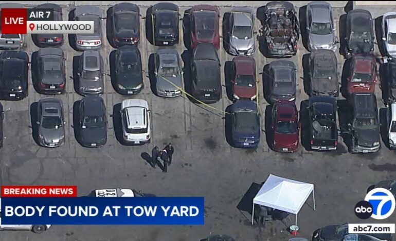 Singer D4vd’s Tesla Abandoned with Chopped Human Body Parts, LAPD Investigates