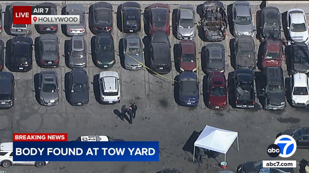 Singer D4vd’s Tesla Abandoned with Chopped Human Body Parts, LAPD Investigates
