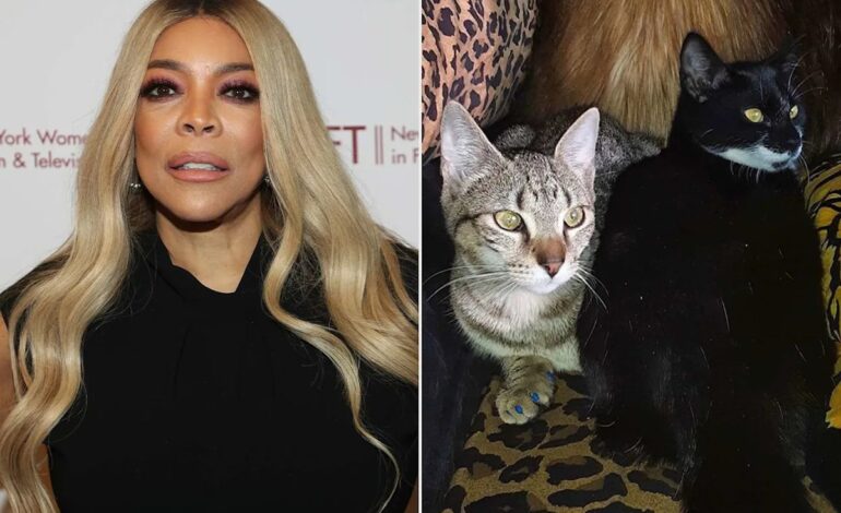Wendy Williams Set for Remote Deposition in A&E Lifetime Doc Lawsuit — Judge Grants Narrow, 3 Hour Window