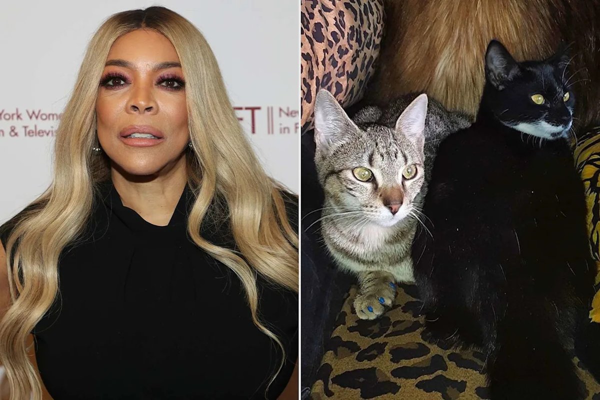 Wendy Williams Set for Remote Deposition in A&E Lifetime Doc Lawsuit — Judge Grants Narrow, 3 Hour Window